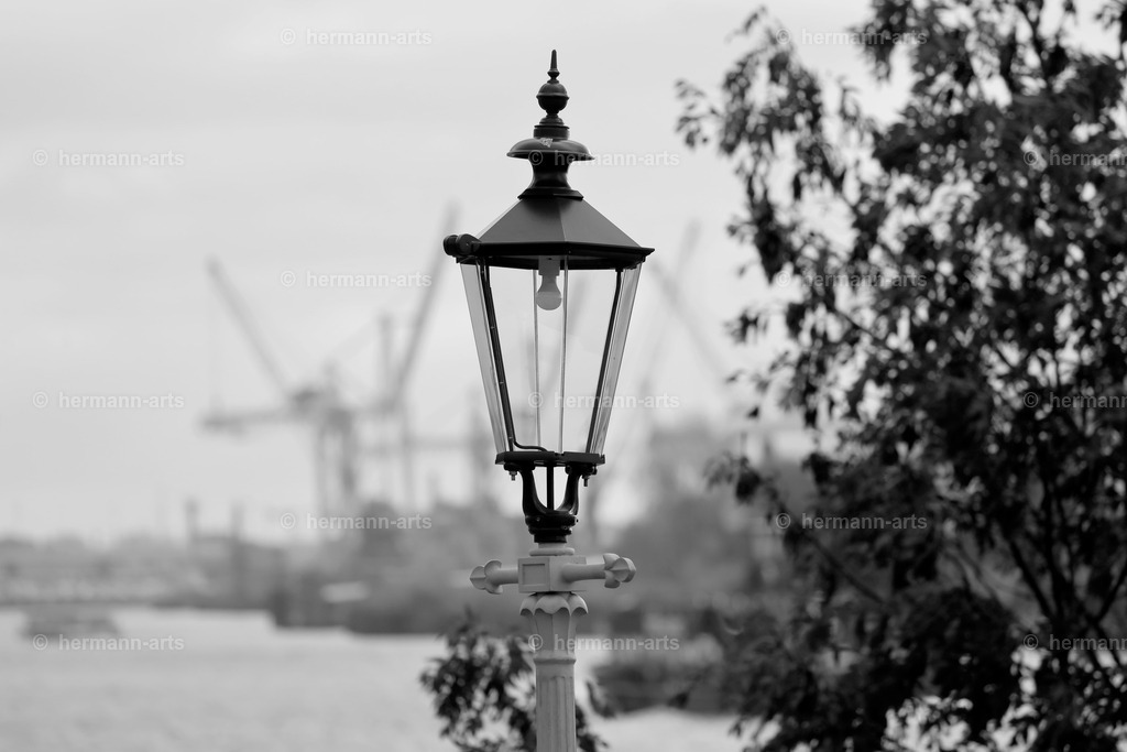 Hamurg_Arts-024 | Photo Foto Kunst Art schwarzweiss Bilder Rheine Münster Berlin Blumen 