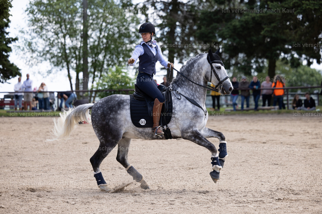 Masterclass_stoibphotography_C2_C8383.CR3 | working equitationturnier fotograf videograf stoibphotography marixx film working equitation deutschland reitsport turnierfotografie eventfotografie equestrian events