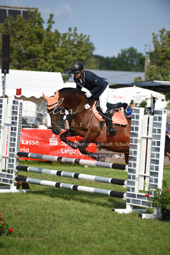 DSC_8811 | Pferde- und Turnierfotografie in Westsachsen. Pferdeportraits, Auftragszeichnungen und intuitive Kunst.