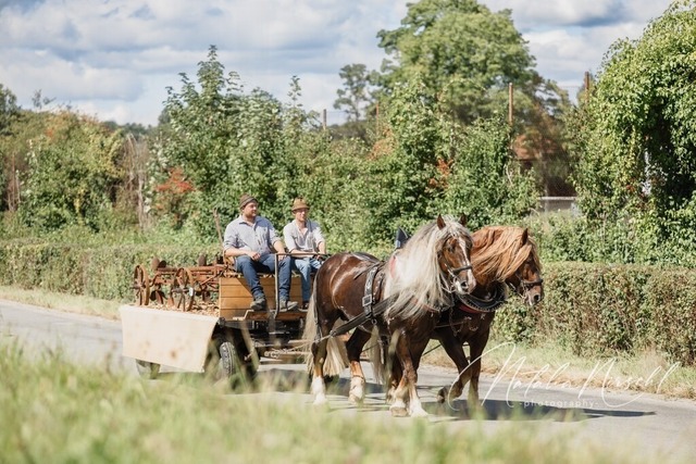 7V6A1671 | natalia-nirschl-photography