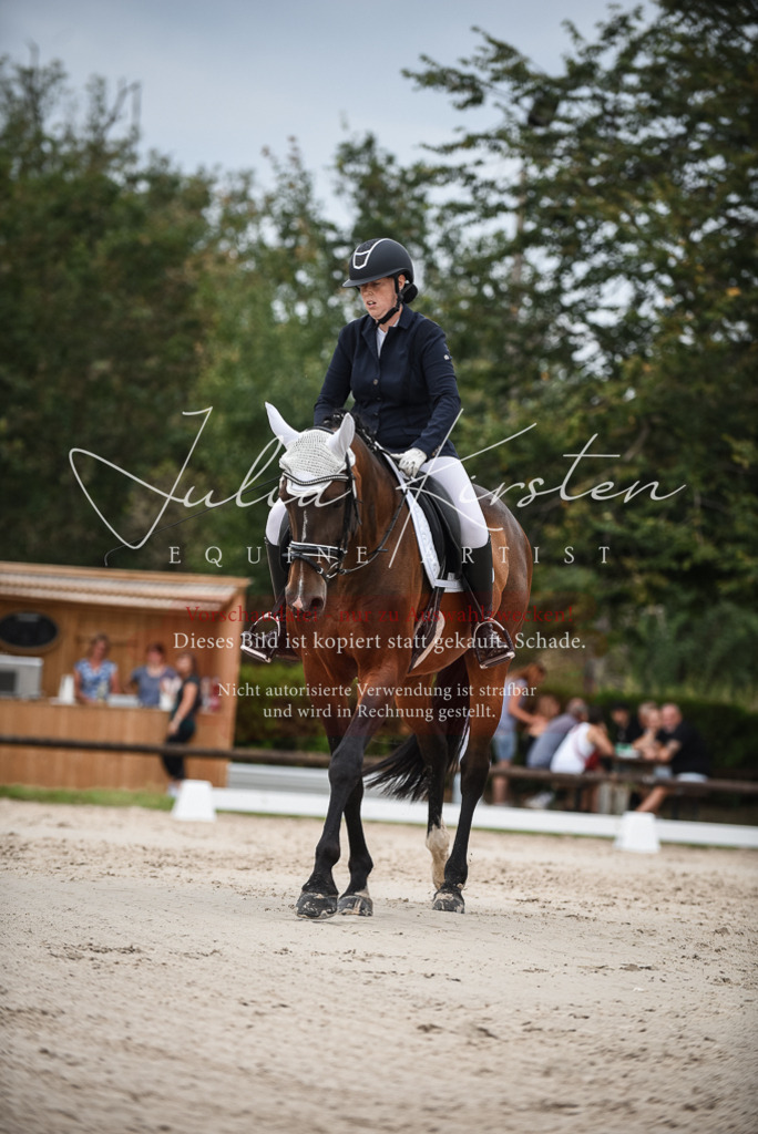 DSC_8472 | Pferde- und Turnierfotografie in Westsachsen. Pferdeportraits, Auftragszeichnungen und intuitive Kunst.