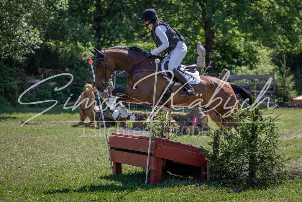 20260523-_3LI7892 | Tierfotografie Pferde, Hunde, Katzen, Haustiere.
Turnierfotografie Reitturniere, Reiten, Springreiten, Dressur in Hanau, dem Main-Kinzig-Kreis und dem Rhein-Main- Gebiet um Frankfurt