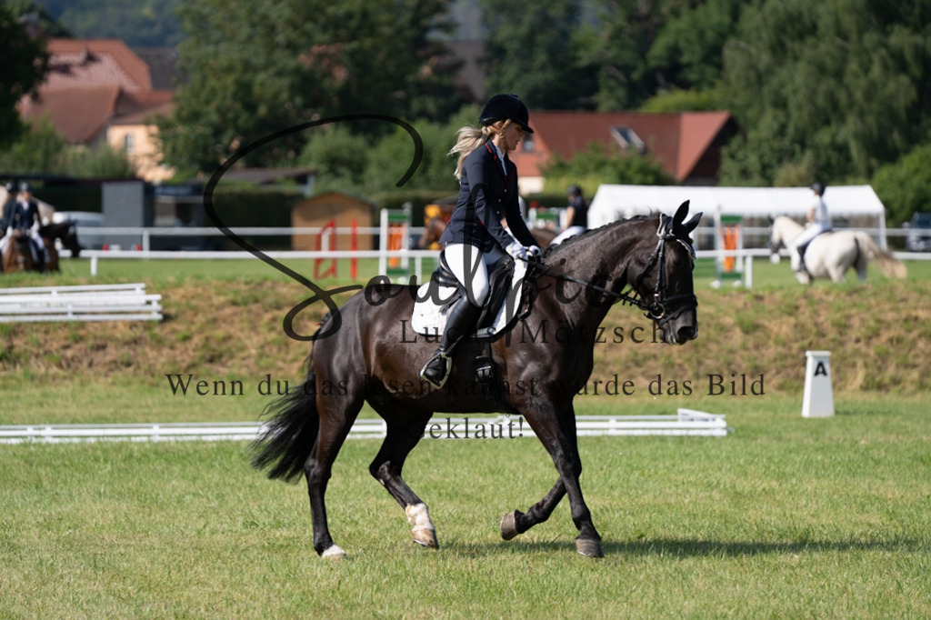 A7V09568 | Pferdefotograf