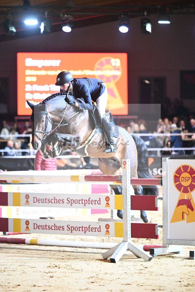 Emperor_1234321 | hf-fotografie - Realisiert mit Pictrs.com