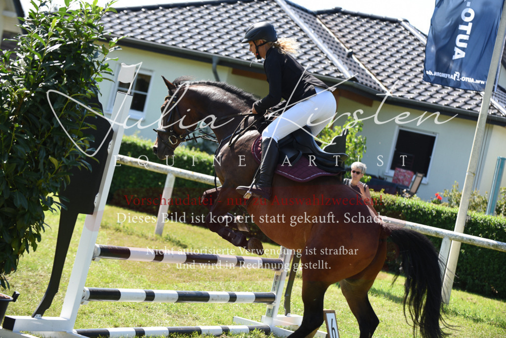 DSC_9548 | Pferde- und Turnierfotografie in Westsachsen. Pferdeportraits, Auftragszeichnungen und intuitive Kunst.