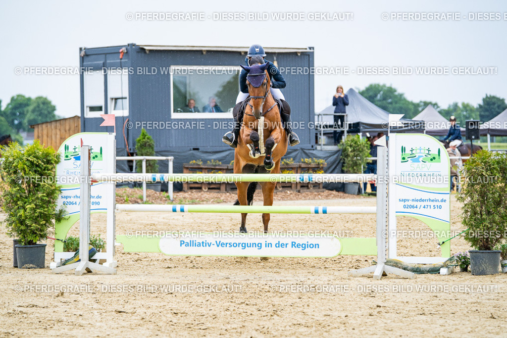 DSC07416 | Pferdegrafie