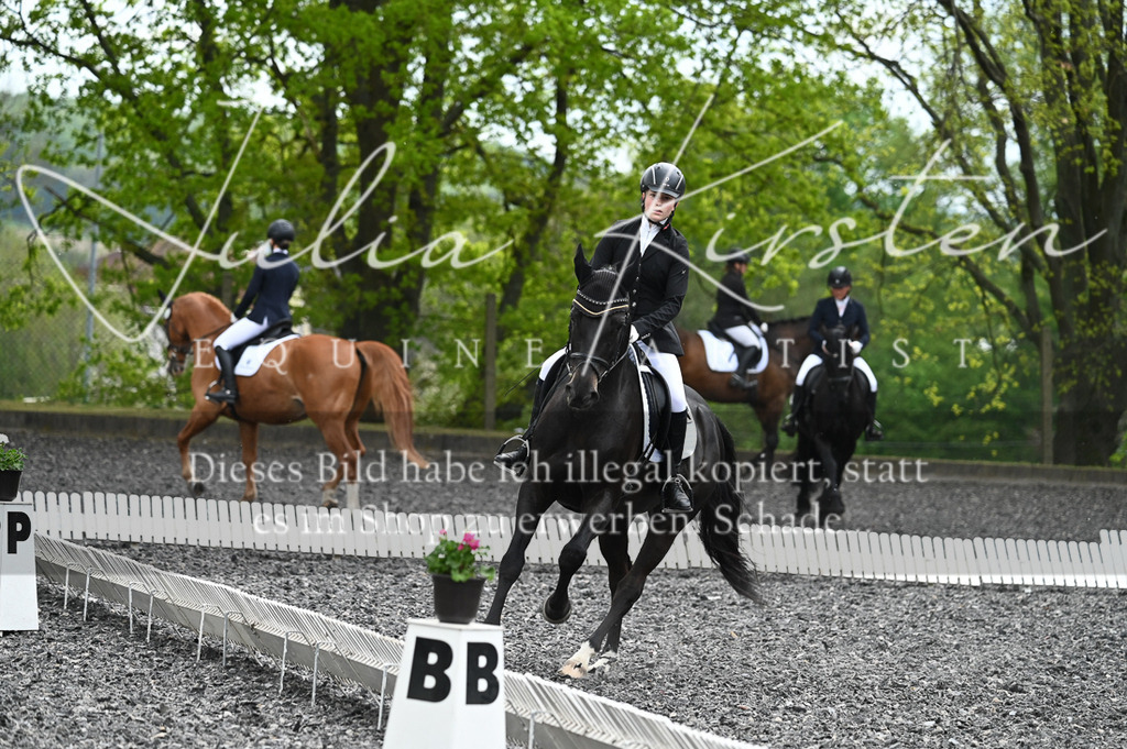 20230512_JK-Röhrsdorf-07-023 | Pferde- und Turnierfotografie in Westsachsen. Pferdeportraits, Auftragszeichnungen und intuitive Kunst.