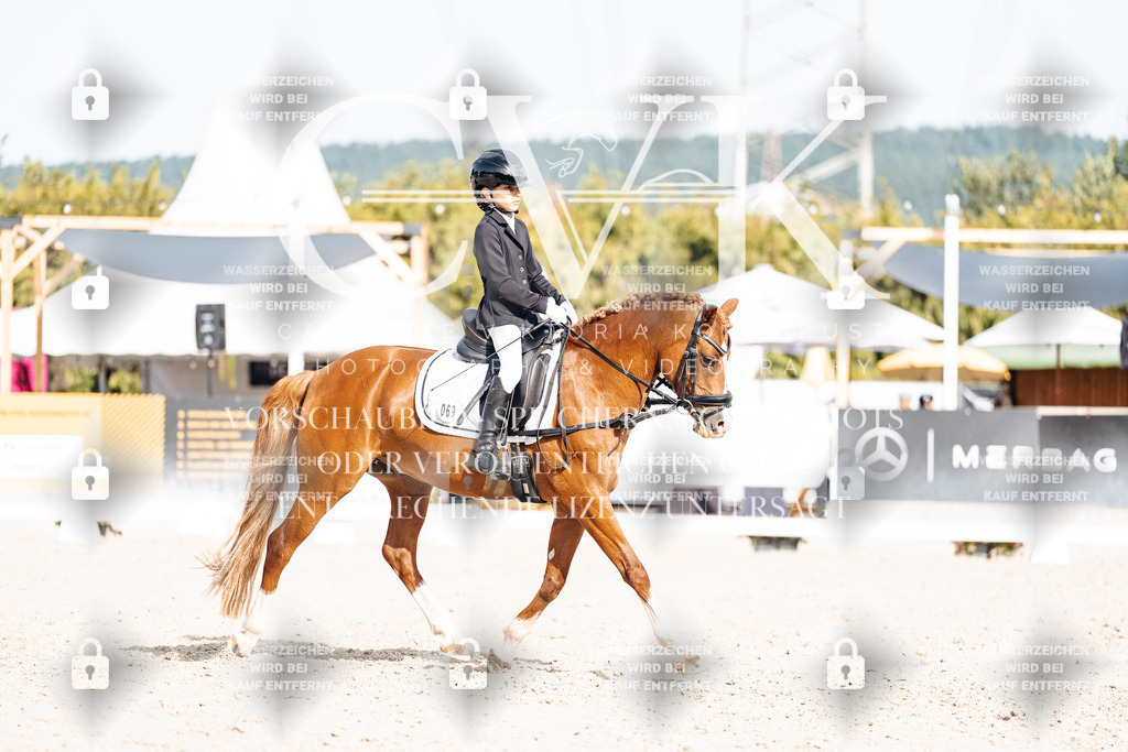 CK905257 | Turnierfotografie Pferdefotografie Trier Rheinland-Pfalz Pferdesport Reitsport Tierfotografie Sportfotografie Pferdevideo Pferdevideografie Equestrianvideography equestrianphotography  - Realisiert mit Pictrs.com