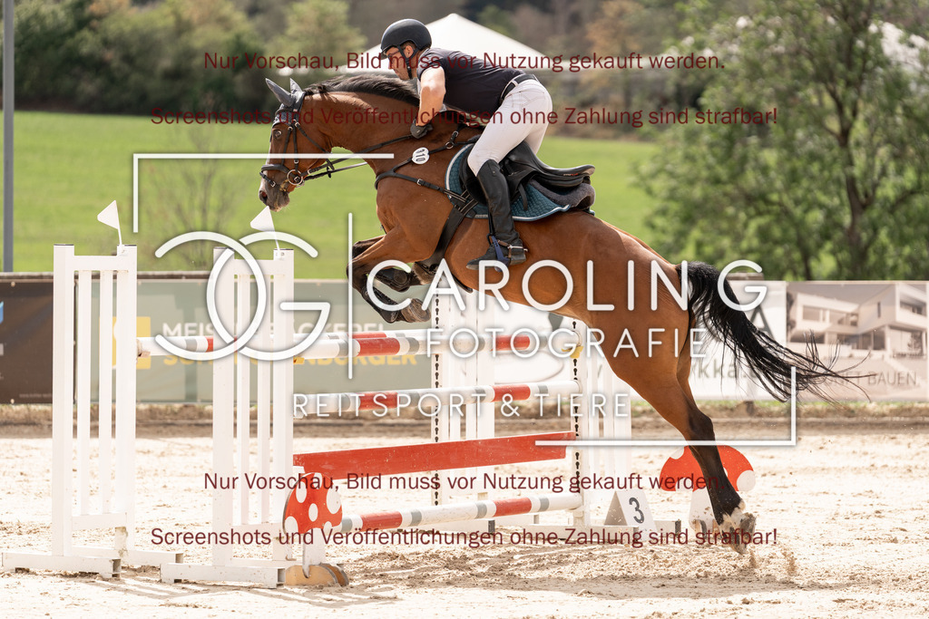 DSC06676 | Springturnier_Teamchallege_Talheim_2026, Christian_Weber, Tassy_de_la_Reselle