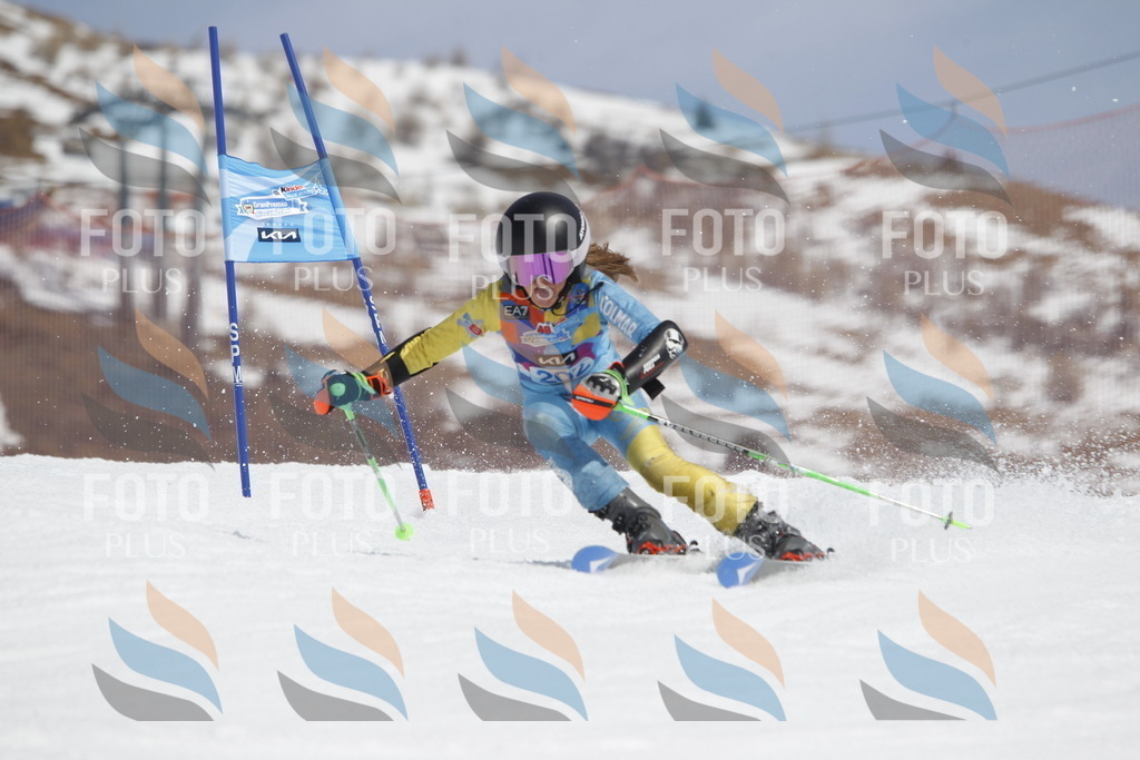 _U3G2076 | holidayphoto