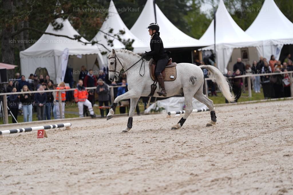 PI26_SP_Stoibphotography_DSC1825.JPG | working equitationturnier fotograf videograf stoibphotography marixx film working equitation deutschland reitsport turnierfotografie eventfotografie equestrian events