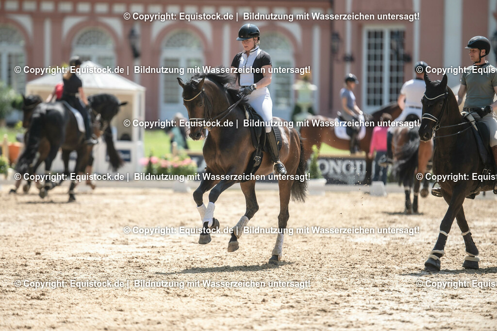 DSC_8039 | equistock