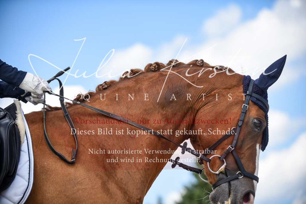 DSC_9365 | Pferde- und Turnierfotografie in Westsachsen. Pferdeportraits, Auftragszeichnungen und intuitive Kunst.