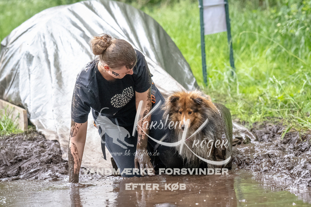 1640_ZZ94780-Bearbeitet | kk-dogfotos