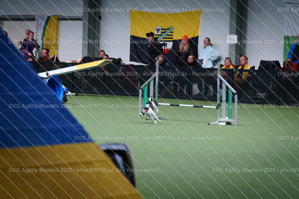 allesWIRTHgut_Tierfotografie-DVG_Agility_Masters_2026-13_51-7R504110 | Professionelle Tierfotografie in Mönchengladbach von Daniel Wirth (allesWIRTHgut). Liebevolle & natürliche Bilder von Hunden & Katzen für unvergessliche Erinnerungen.
