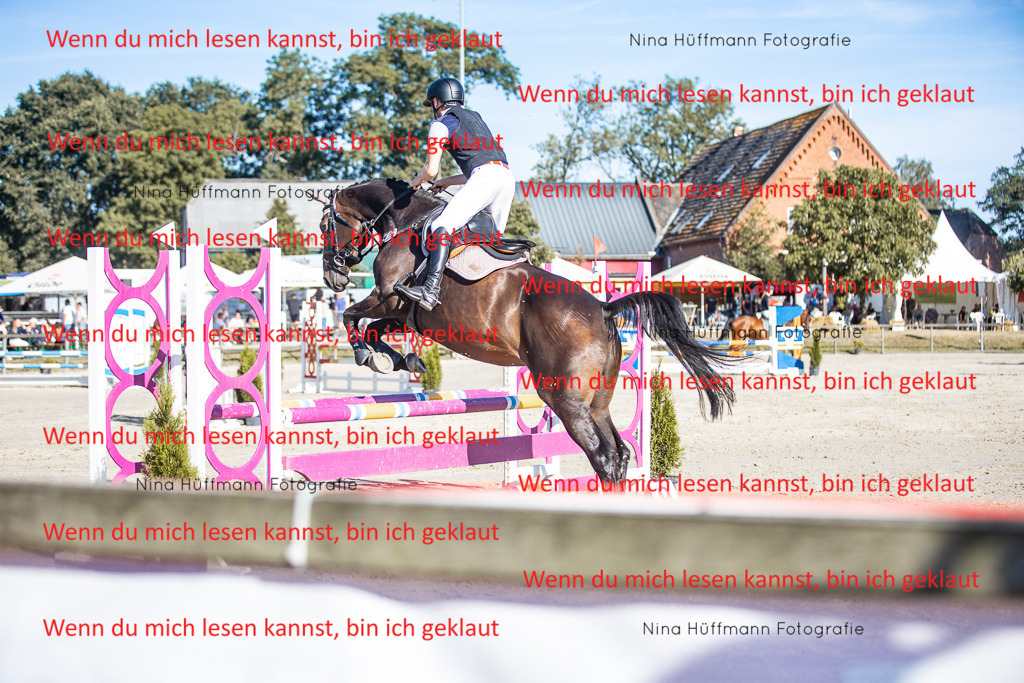 BK1A7485 | Turnierbilder Turnierfotos Nina Hüffmann Turnierfotografie Pferdefotografie Tierzeichnung Haustierzeichnung Pferdezeichnung Hundezeichnung Videograf  - Realisiert mit Pictrs.com