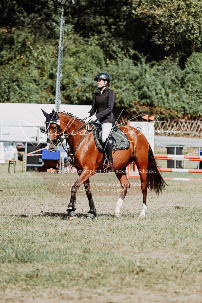DSC_9768 | Pferde- und Turnierfotografie in Westsachsen. Pferdeportraits, Auftragszeichnungen und intuitive Kunst.