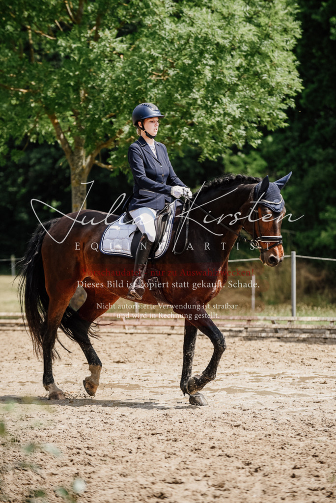 DSC_1463 | Pferde- und Turnierfotografie in Westsachsen. Pferdeportraits, Auftragszeichnungen und intuitive Kunst.