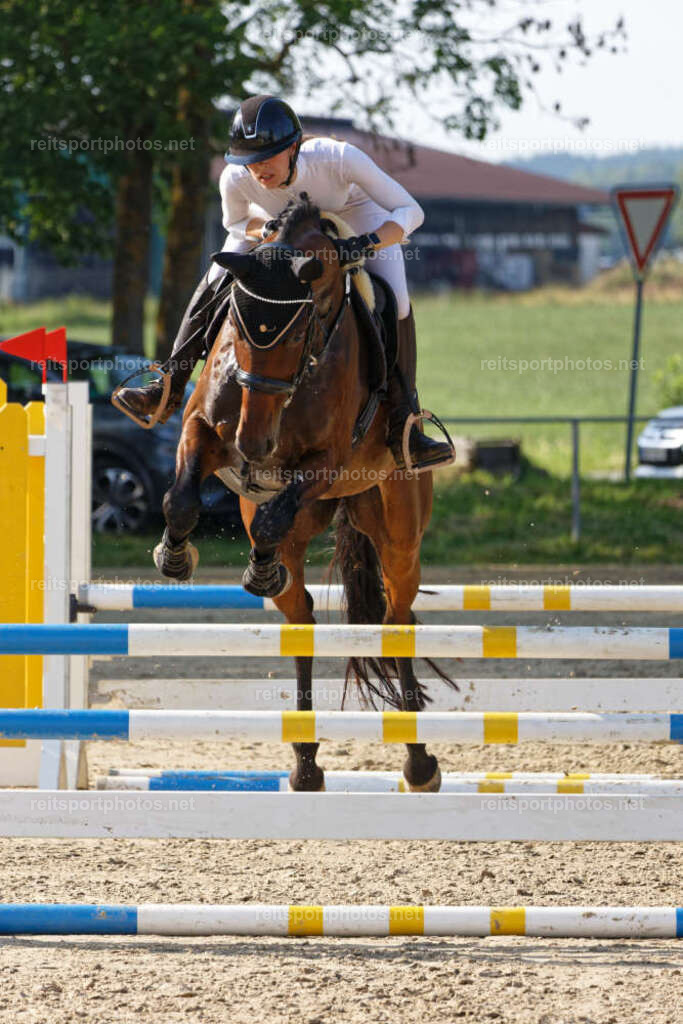 JHE_5237 | JoYa Fotografie - Realisiert mit Pictrs.com