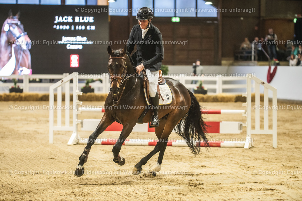 20240302_Hengstvorstellung_Marbach_TOMsPiC_0232-2 | equistock