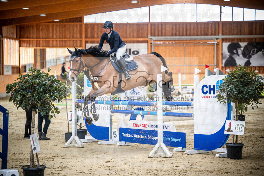 DOS_0493 | Entdecke hochwertige Reitturnierfotos von Foto Oger. Professionell, emotional und authentisch – jetzt Lieblingsmomente im Shop bestellen.Deutschlandweite Turnierfotografie. - Realisiert mit Pictrs.com