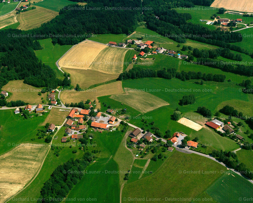 2519837 | Einfürst, Bogen