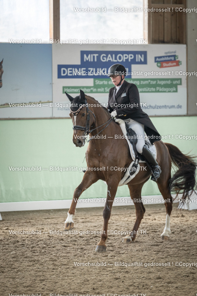 _D5A5352 | Emotionale Pferde- & People-Fotografie rund um Heidelberg, Leimen & Umgebung. Natürliche Fotos von Pferd, Mensch & Familie. Jetzt Termin sichern!