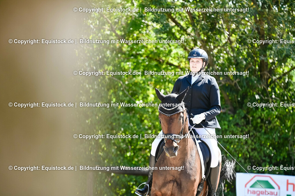 20230908_06_Dressur-L-Trense_0527 | equistock