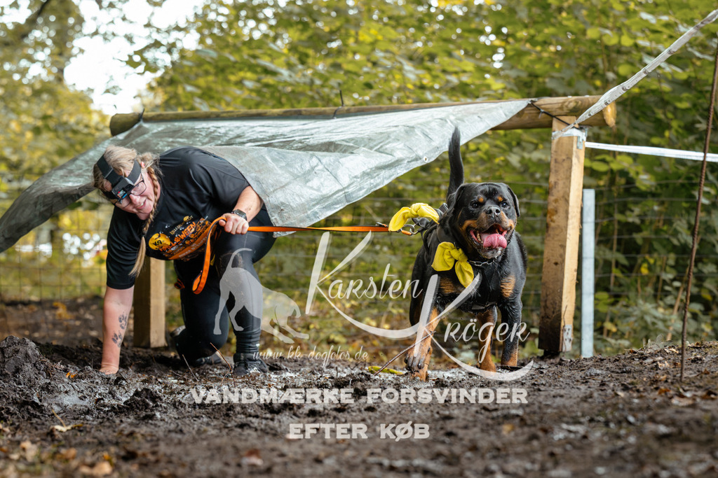 1431DZ6_2775Z6 | kk-dogfotos