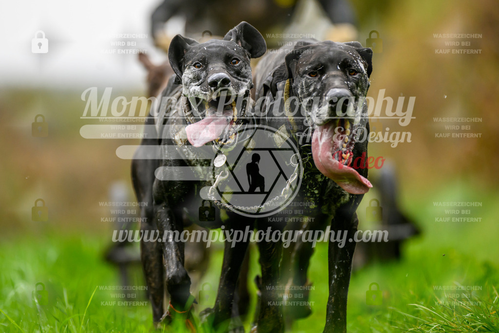 MompixPhotography_20TSB_E8_Kart-22 | PayLife