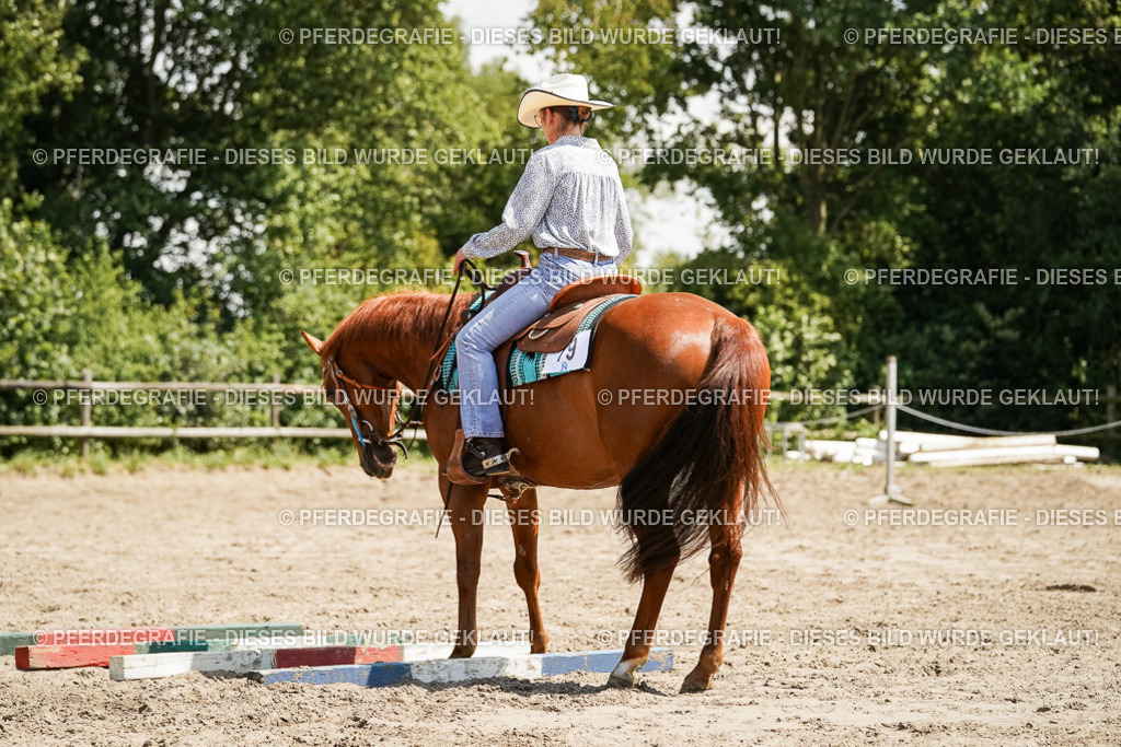 DSC09535 | Pferdegrafie