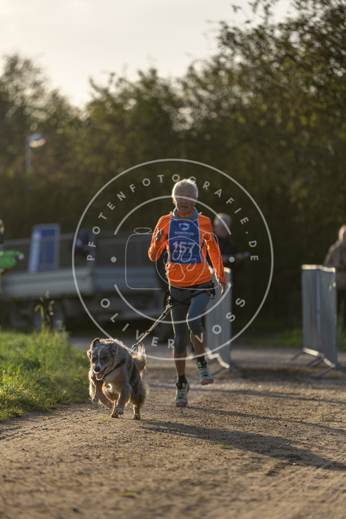 Pfotenfotografie.de_DV3A2588 | Hundefotografie, Tierfotograf, Pfotenfotografie, Fotoshooting Hund, Hunde Portrait, Hundesport, Hundeportraits, Heideshooting, Hunde, Sportfotograf, Hundefotograf, Turnierhundsport, THS, canicross - Realisiert mit Pictrs.com