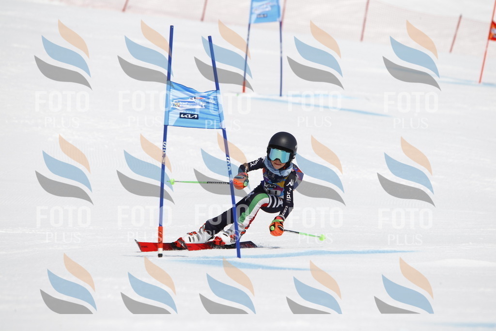 _U3G5436 | holidayphoto