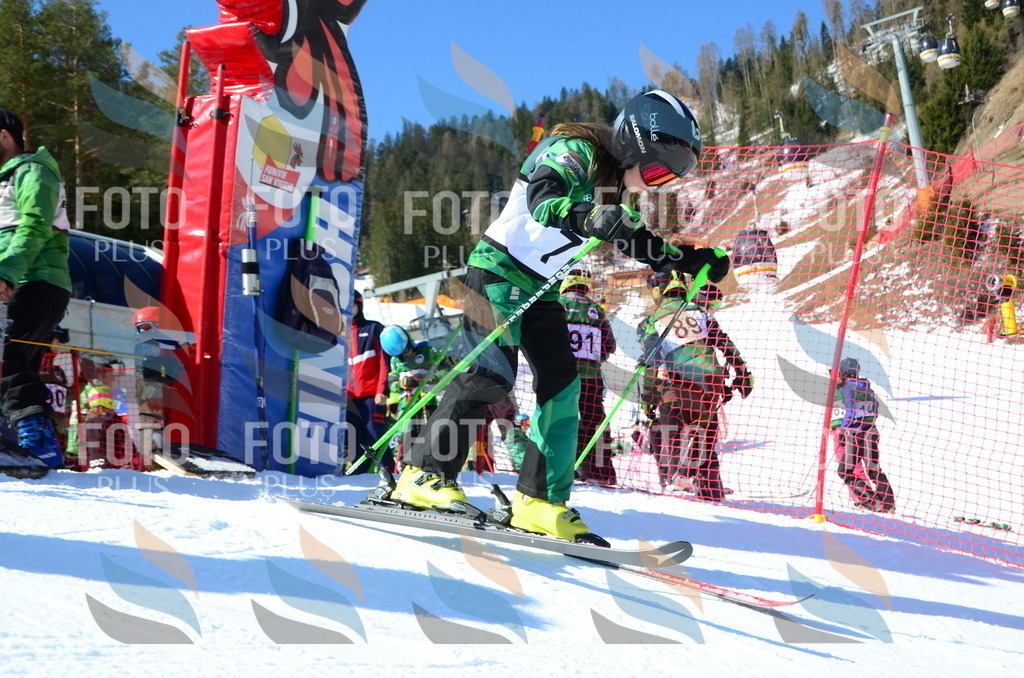 C5491 | holidayphoto