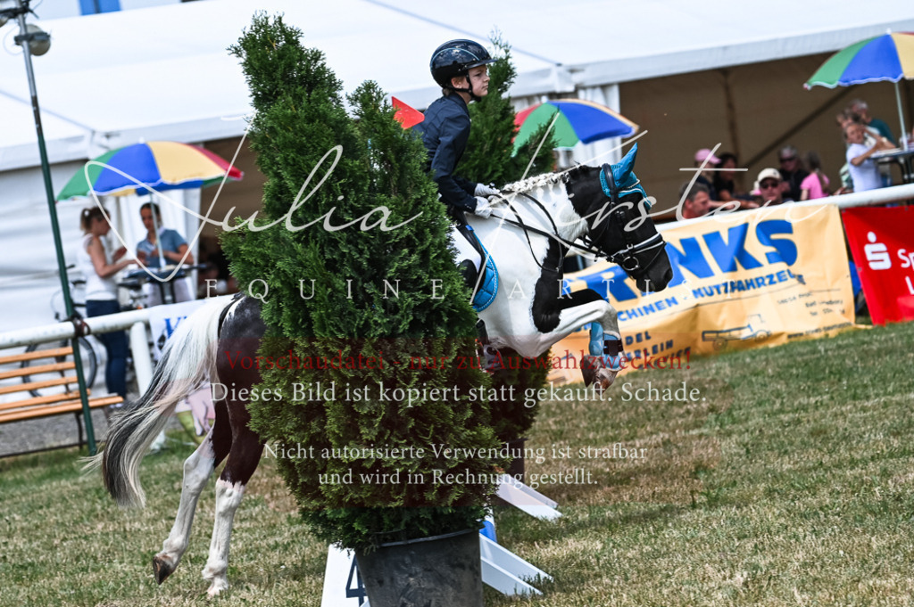 DSC_9743 | Pferde- und Turnierfotografie in Westsachsen. Pferdeportraits, Auftragszeichnungen und intuitive Kunst.