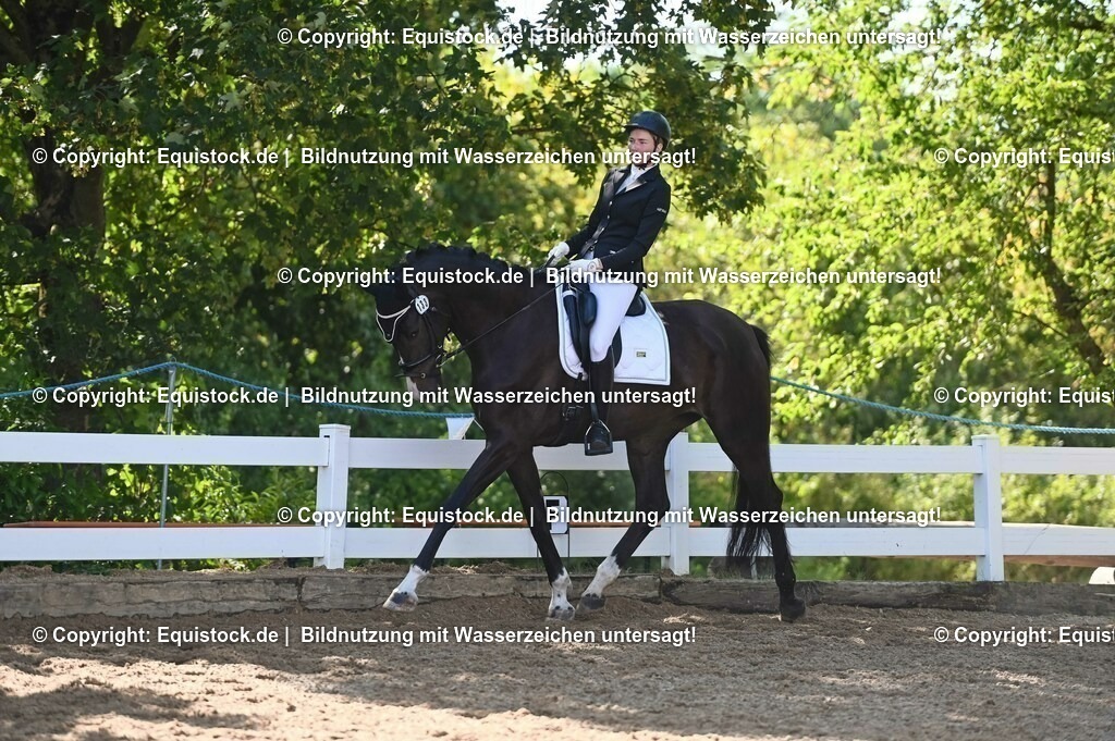 20230715_06_Dressurpferdeprfg. Kl.A_0373 | equistock