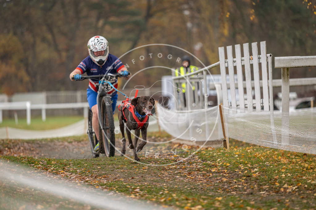 CaniXpix_DV3A8658 | Hundefotografie, Tierfotograf, Pfotenfotografie, Fotoshooting Hund, Hunde Portrait, Hundesport, Hundeportraits, Heideshooting, Hunde, Sportfotograf, Hundefotograf, Turnierhundsport, THS,  - Realisiert mit Pictrs.com