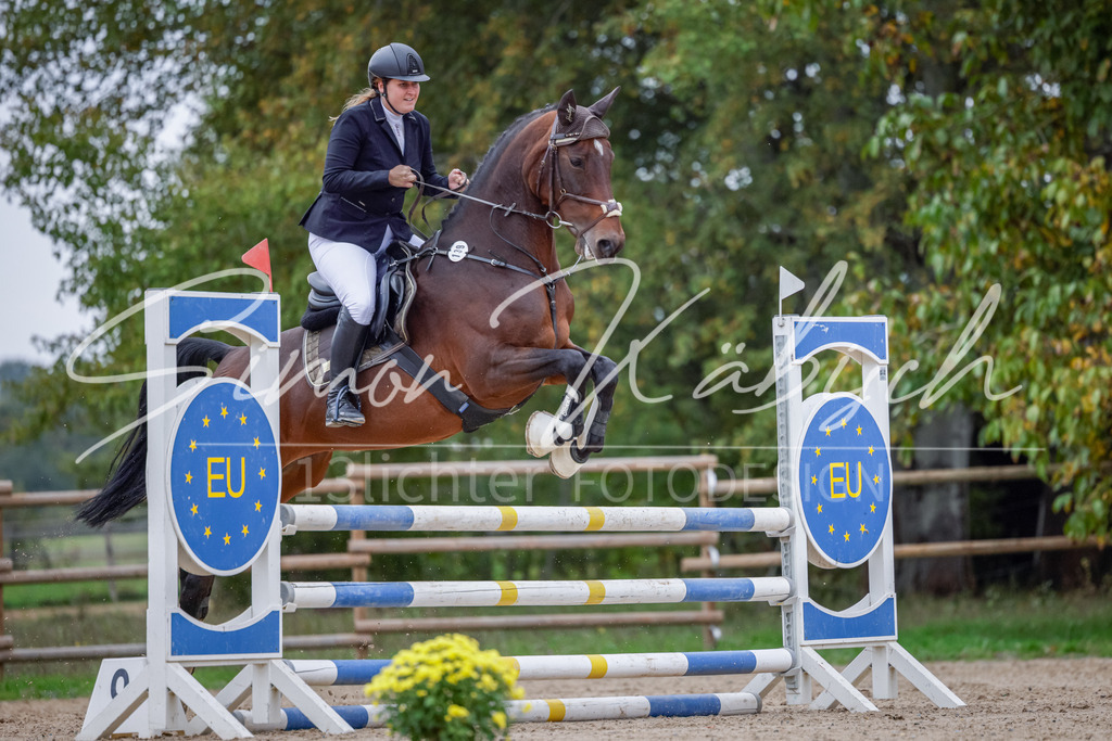 20251012-_3LI4418 | Tierfotografie Pferde, Hunde, Katzen, Haustiere.
Turnierfotografie Reitturniere, Reiten, Springreiten, Dressur in Hanau, dem Main-Kinzig-Kreis und dem Rhein-Main- Gebiet um Frankfurt