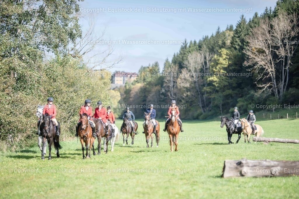 20251011_Jagd-Marbach_0125 | Foto: Thomas Hartig