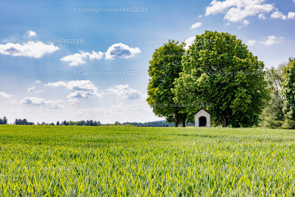 _J3A1215 | medienkrizzler - Realisiert mit Pictrs.com