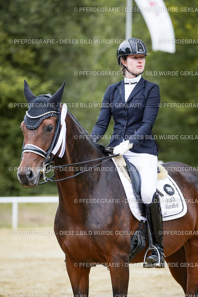 DSC02584 | Pferdegrafie