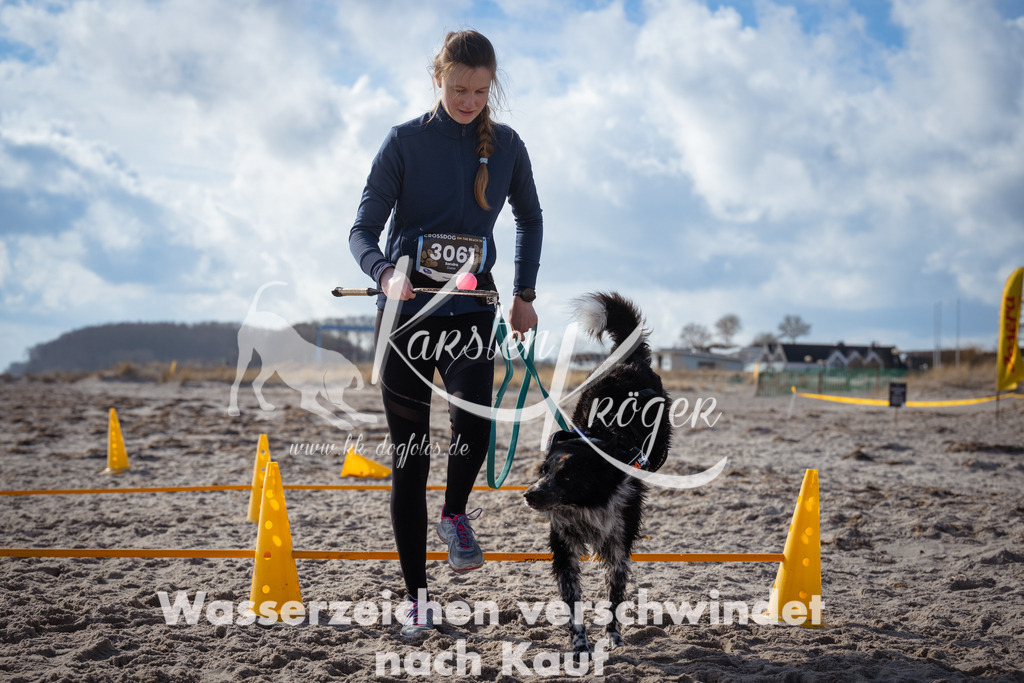 1253_ZZ99461 | kk-dogfotos