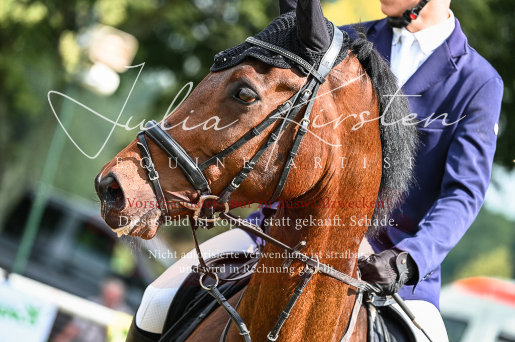 DSC_8387 | Pferde- und Turnierfotografie in Westsachsen. Pferdeportraits, Auftragszeichnungen und intuitive Kunst.