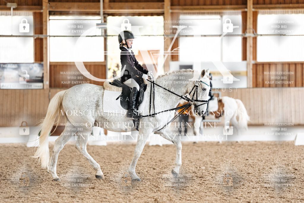 CK900361 | Turnierfotografie Pferdefotografie Trier Rheinland-Pfalz Pferdesport Reitsport Tierfotografie Sportfotografie Pferdevideo Pferdevideografie Equestrianvideography equestrianphotography  - Realisiert mit Pictrs.com