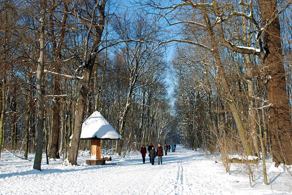 Rosental im Winter | Entdecke über 20 Kategorien Leipzig-Motive: Foto-Downloads, hochwertige Poster, Leinwand- & Fine-Art-Prints. Jetzt Lieblingsfoto im Bildlexikon Leipzig Shop bestellen!