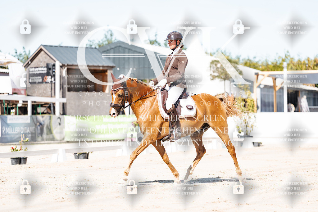 CK909007 | Turnierfotografie Pferdefotografie Trier Rheinland-Pfalz Pferdesport Reitsport Tierfotografie Sportfotografie Pferdevideo Pferdevideografie Equestrianvideography equestrianphotography  - Realisiert mit Pictrs.com