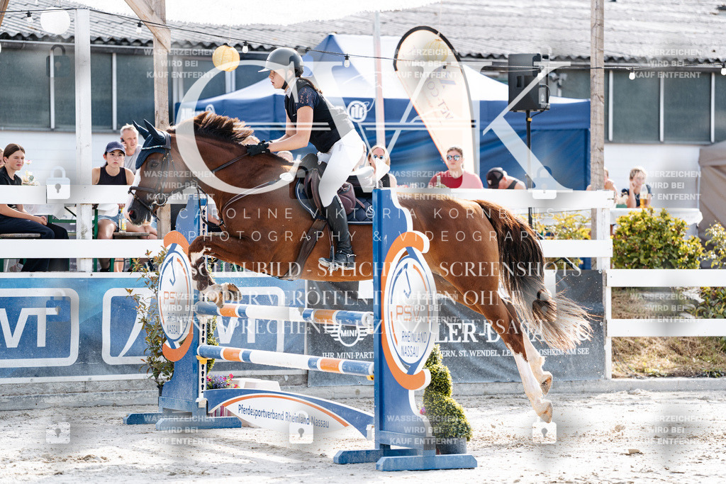 CK905711 | Turnierfotografie Pferdefotografie Trier Rheinland-Pfalz Pferdesport Reitsport Tierfotografie Sportfotografie Pferdevideo Pferdevideografie Equestrianvideography equestrianphotography  - Realisiert mit Pictrs.com