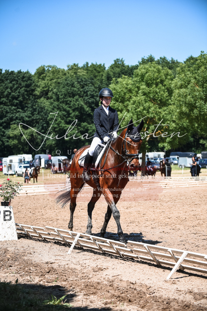 DSC_2767 | Pferde- und Turnierfotografie in Westsachsen. Pferdeportraits, Auftragszeichnungen und intuitive Kunst.