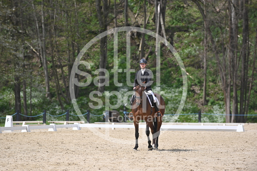 DSC_3368 | sattelsport - Realisiert mit Pictrs.com