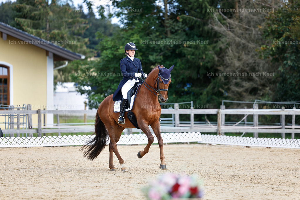 6-143-AMATUER-DRESSUR S_  -StoibPH-3438 | working equitationturnier fotograf videograf stoibphotography marixx film working equitation deutschland reitsport turnierfotografie eventfotografie equestrian events